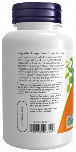 NOW Lions Mane Mushroom, Львиная грива гриб, 60 капсул